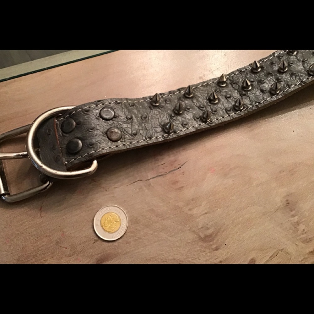 Studded grey leather  dog collar